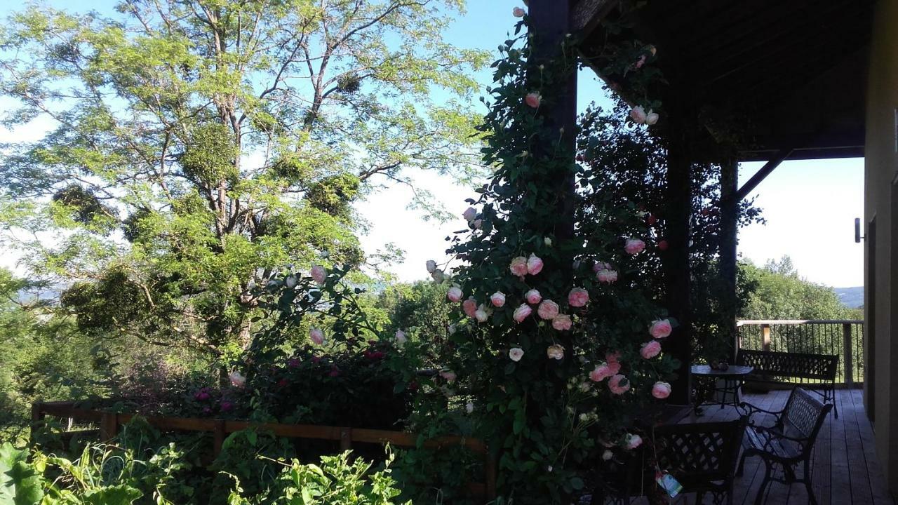 Bed and Breakfast Le Grand Noyer Ambronay Exterior foto